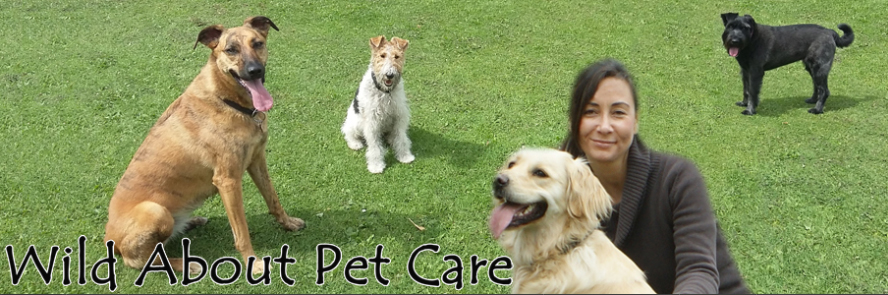 Wild About Pet Care Holding Page